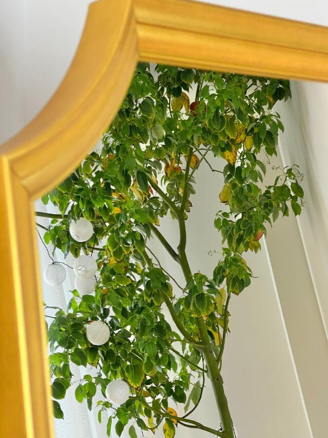 #Lemon Tree By Halu! Apartments Tessalónica Exterior foto
